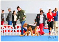 /album/galeria-de-fotos/bp2i1823-copy-1-jpg1/